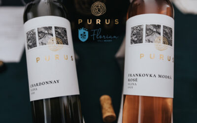 Podujatia v Modre 2026