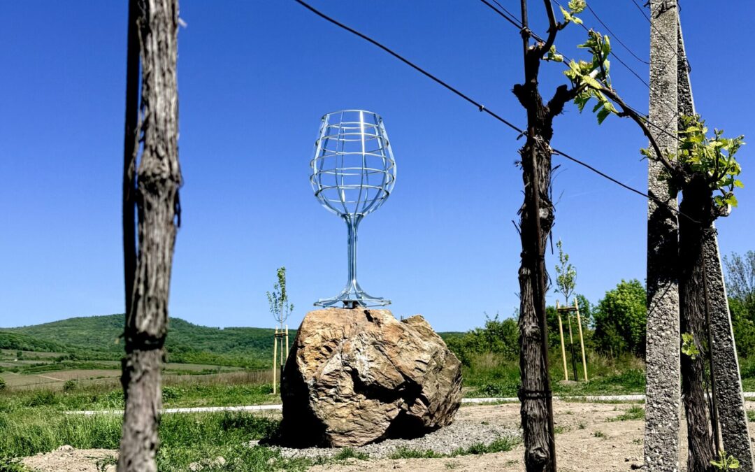 Nový fotopoint vo vinohradoch Víno Purus