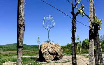 Nový fotopoint vo vinohradoch Víno Purus